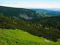 Medi-tour Polen. Medicinsk turism, hälsoturism i Polen.