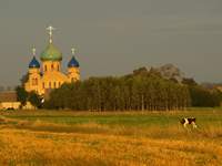 Medi-tour Polen. Medicinsk turism, hälsoturism i Polen.