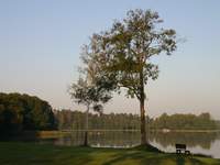 Medi-tour Polen. Medicinsk turism, hälsoturism i Polen.