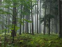 Medi-tour Polen. Medicinsk turism, hälsoturism i Polen.