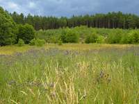 Medi-tour Polen. Medicinsk turism, hälsoturism i Polen.